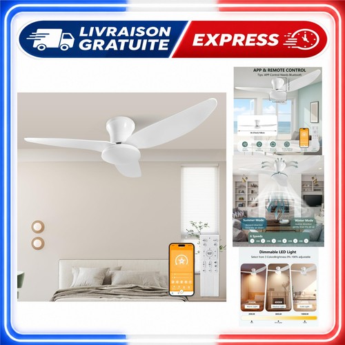 Ventilateur plafond 100cm - ventilateur,