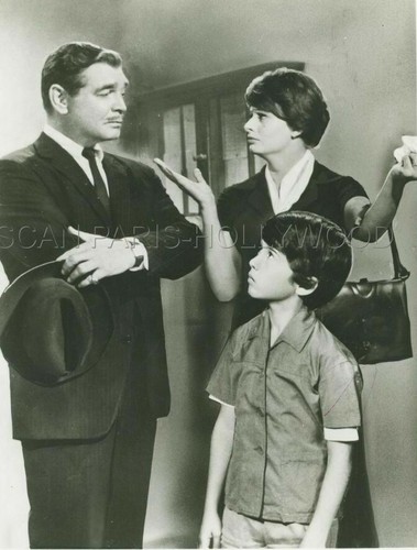 Clark gable sophia - gable,