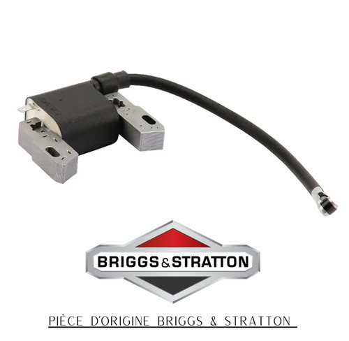 Bobine allumage briggs - briggs, &