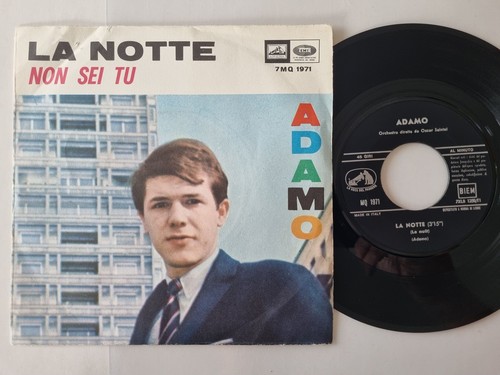 Adamo notte non - adamo, la