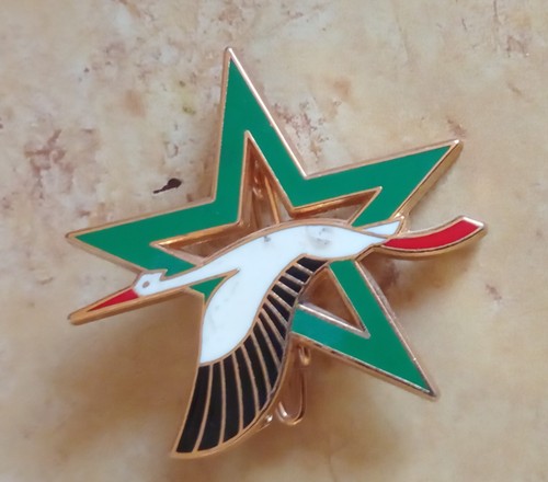 Insigne 705 base ecole - insigne,