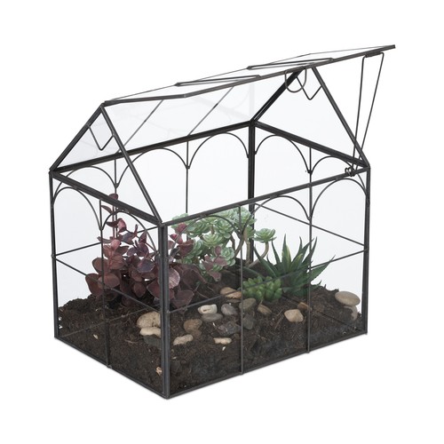 Terrarium interieur - terrarium,