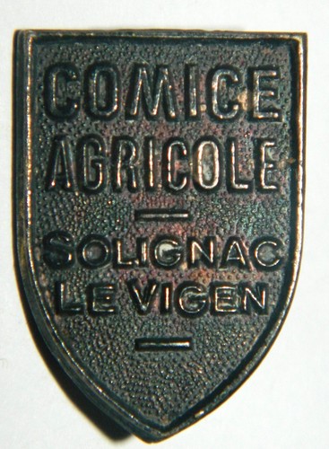 Ancien insigne réduction - insigne,