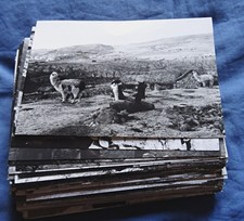 117 photos Pérou 1960-65 13x9 cms L726-4