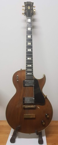 Guitare électrique jacobacci - guitare,