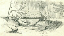 Paysage, pont, forêt, arbres