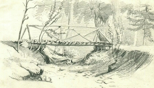 Pont paysage forêt arbres