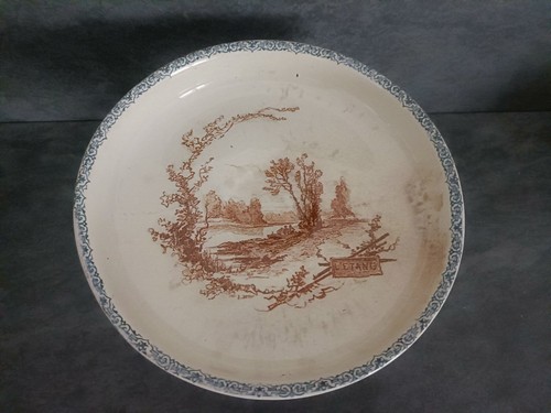 Coupe sur pied - coupe,