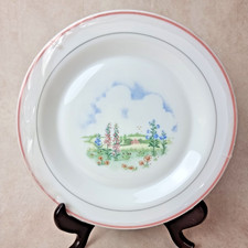 Lot 6 Assiette Plate Arcopal Vintage – Modèle campagne / Champêtre NEUF