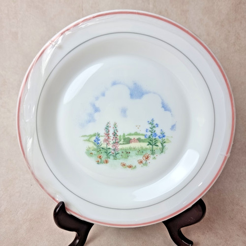 Lot assiette plate arcopal - assiette,