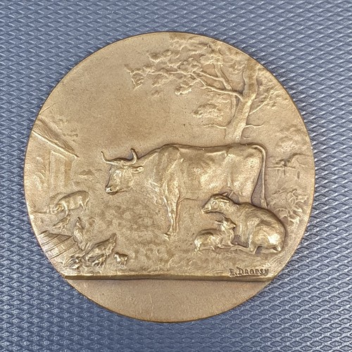 Médaille bronze dropsy - bronze, e