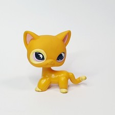 Petshop Chat Européen # 855