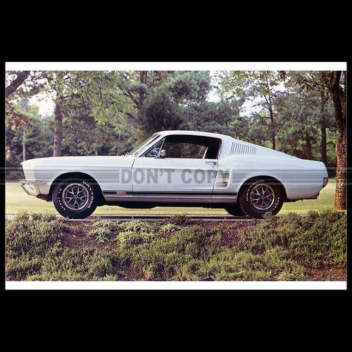 Photo 037439 ford mustang - photo,