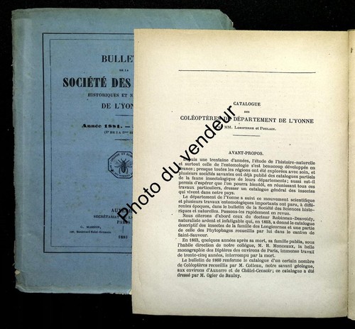 Entomologie coleoptera 1881 - entomologie,