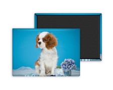 Epagneul-Magnet Personnalisé