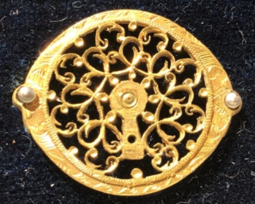 Coq montre gousset - coq,