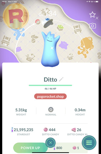 Shiny ditto blue hat - shiny, costume