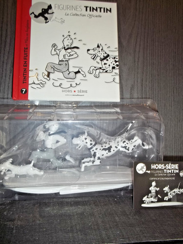 Tintin fuite milou - tintin, en