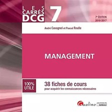 DCG 7 Management : 38 fiches