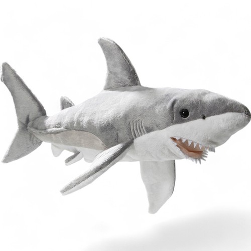 Carl dick requin - carl,