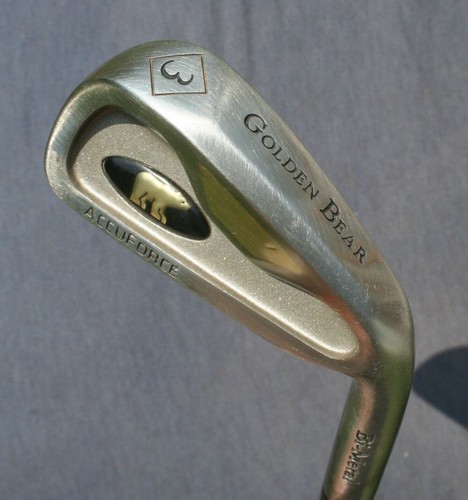 Golden bear accuforce - bear, 3