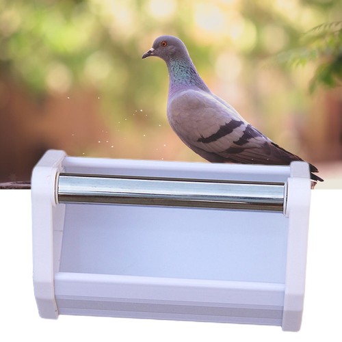Pigeon feeder trough - feeder,