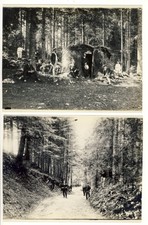 Photographie Suisse Neuchâtel Forêt Bois de la Joux (x2) (15022)