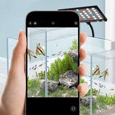 Clip On Aquarium Light USB