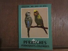 PERRUCHES PERROQUETS-COLOMBES