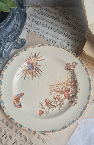 Ancienne assiette terre fer - de,