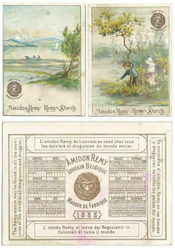 Amidon remy lot de 2 - amidon,