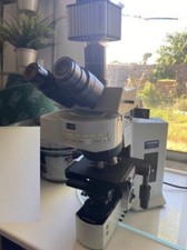 OLYMPUS BX61 fluorescence