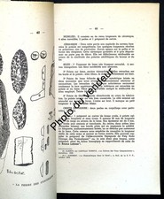 Histoire de l'Aude: 1958
