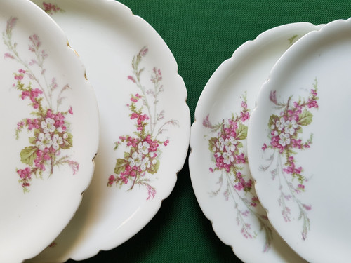 Petites assiettes - petites,
