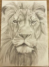 Lion Dessin