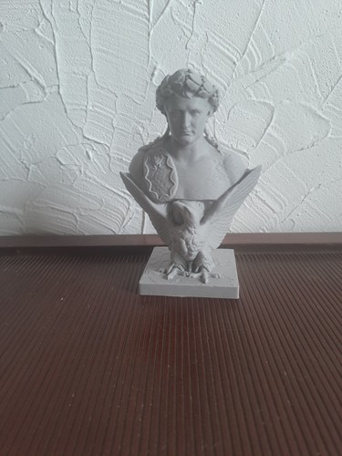 Buste napoleon - buste,