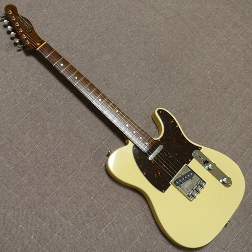 Evolution telecaster rose - evolution,