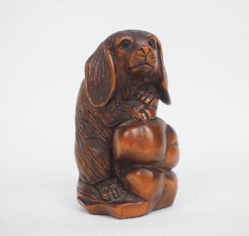 Ancien chien japonais - , en