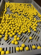 5 kg de bouillette ananas 24mm