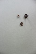 3 Ancienne pièces détaché pour artisan bijoutier horloger 