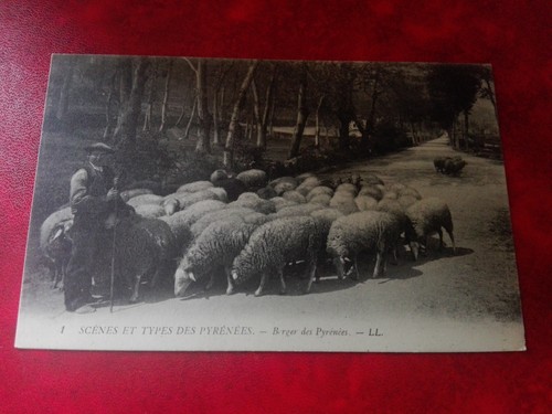 Cpa animée scènes - animée,