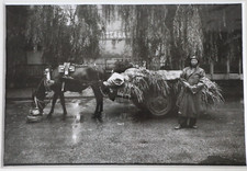 TIRAGE PHOTO	Tomek Saint