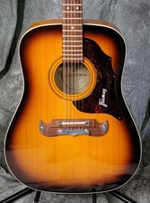 COLLECTOR GRADE 1969 Framus
