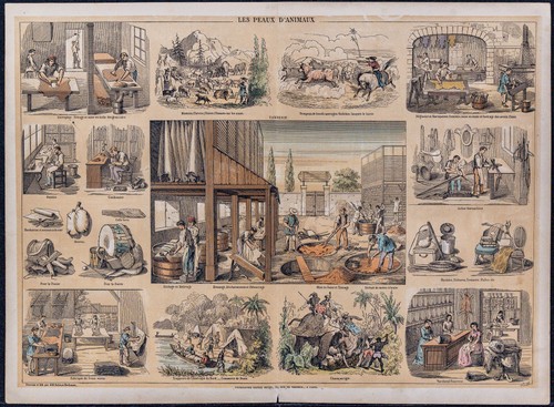 1880 les peaux d - 1880,