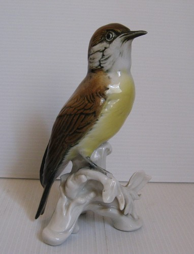 0000 karl ens bird oiseau - ens,