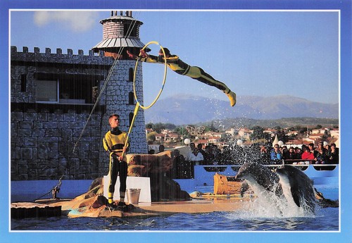 Antibes marineland - 6,