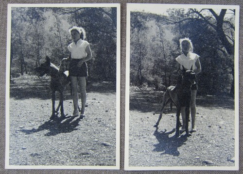 Photos originales 1950 s - photos, ~1950's
