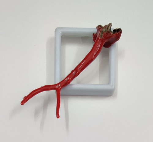 Ancienne branche corail - ancienne,