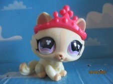 PETSHOP CHAT SPHYNX N°848 + ACCESSOIRE D'ORIGINE