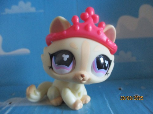 Petshop chat sphynx 848 - sphynx, n°848